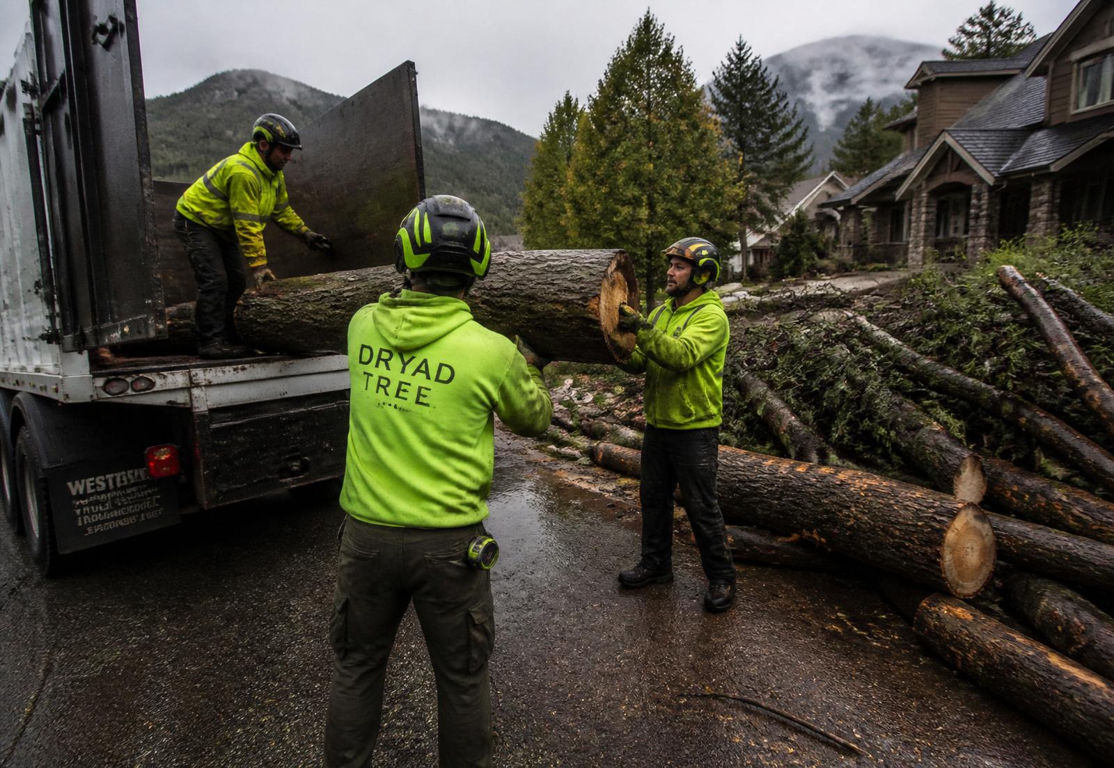 Crew loading storm-felled logs in a WNC mountain neighborhood